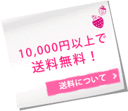 10000円以上で送料無料!