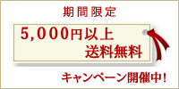 5,000円以上で送料無料キャンペーン中!