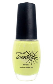 �t���O�����X�l�C���i�����l�C���jH05���p�C�i�b�v����