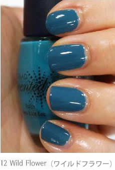 �t���O�����X�l�C���i�����l�C���jH12��Wild Flower�i���C���h�t�����[)��