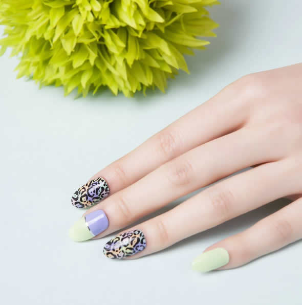 �X�^���s���O�l�C���A�[�g�@�q���E���l�C��